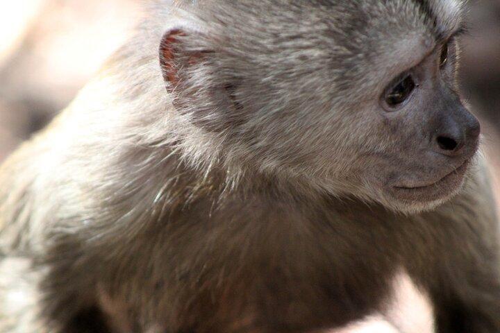 Private Hartbeespoort Dam and Magaliesberg Mountains Tour