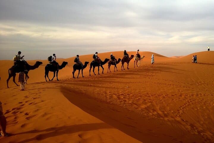 Morning Desert Safari with 4x4 Dune bashing, Camel Ride and Sandboarding