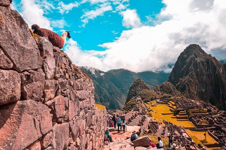 Machu Picchu Full-Day Tour by Train from Cusco - Small Group