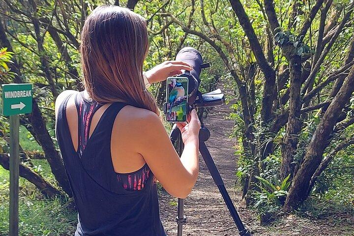 Monteverde Birdwatching Experience
