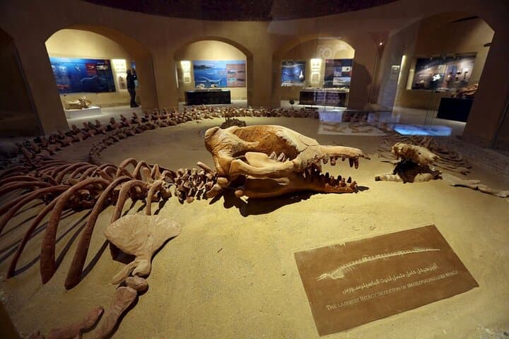 2 Days Camping Trip PRIVATE in Fayoum Oasis from Cairo