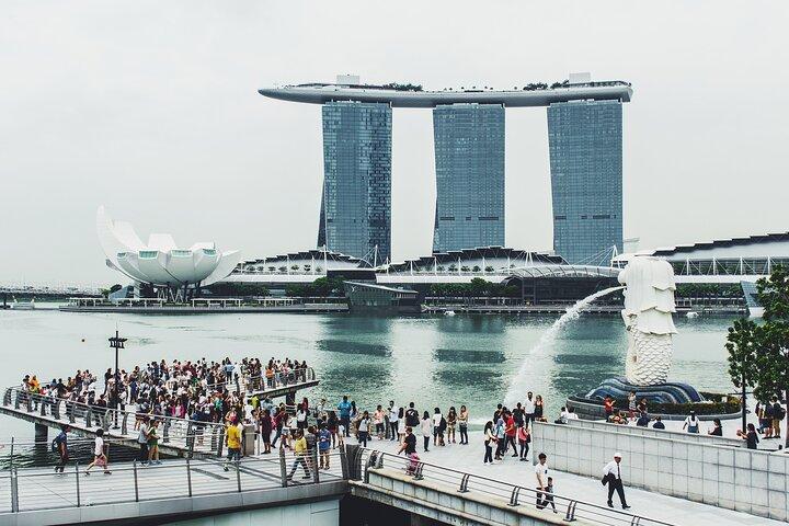 Private Cultural Discovery Tour of Historic Singapore