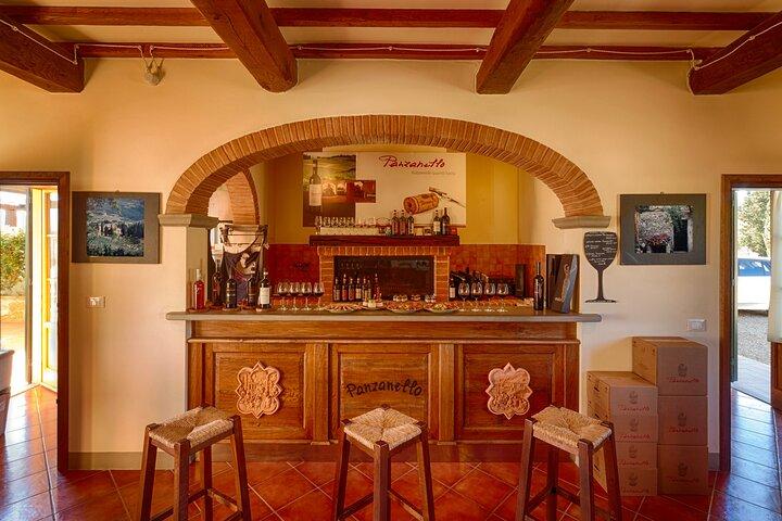 Triumph of Flavors, Winery Tour, Organic Wines in Panzano in Chianti