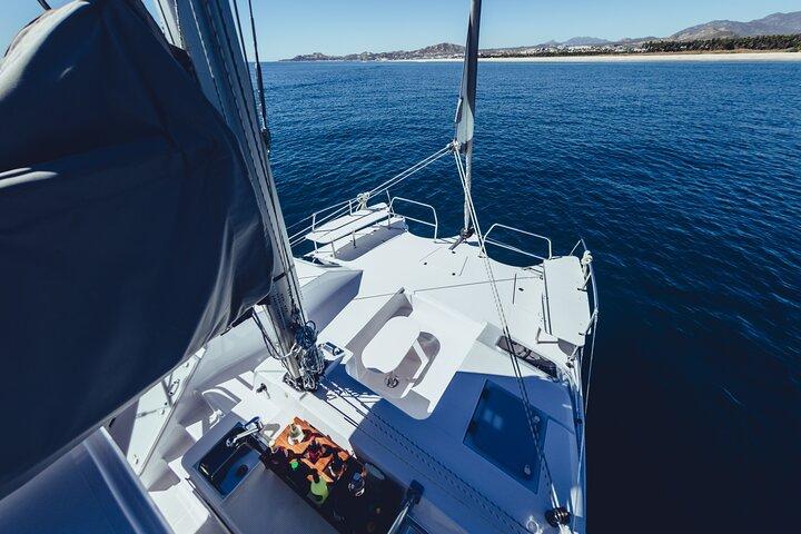 Luxury Whale Watch Cruise to The Arch Los Cabos