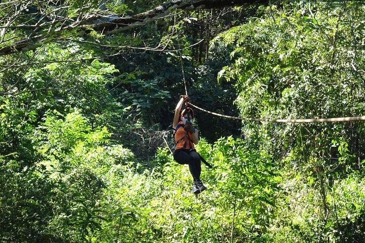 Small-Group Zipline Canopy Tour in Tamarindo's Jungle