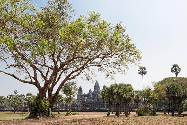 Angkor Wat, Angkor Thom & Elephant Terrace Half-Day Tours