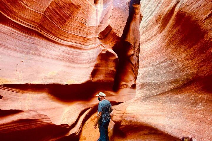 Grand Canyon South Rim, Antelope Canyon and Horseshoe Bend Tour