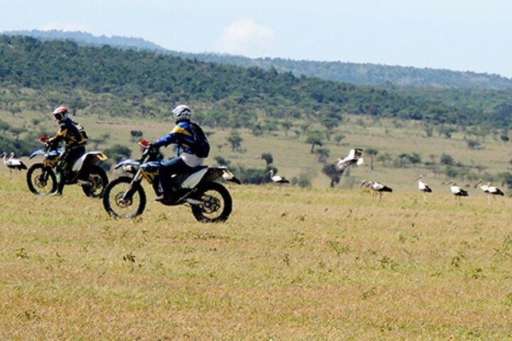 7 days off-road motorbike wildlife tour from Central Kenya to Mount Kilimanjaro