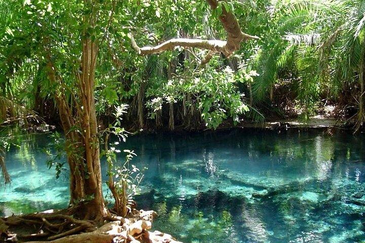 Chemka Hot Springs Day Trip