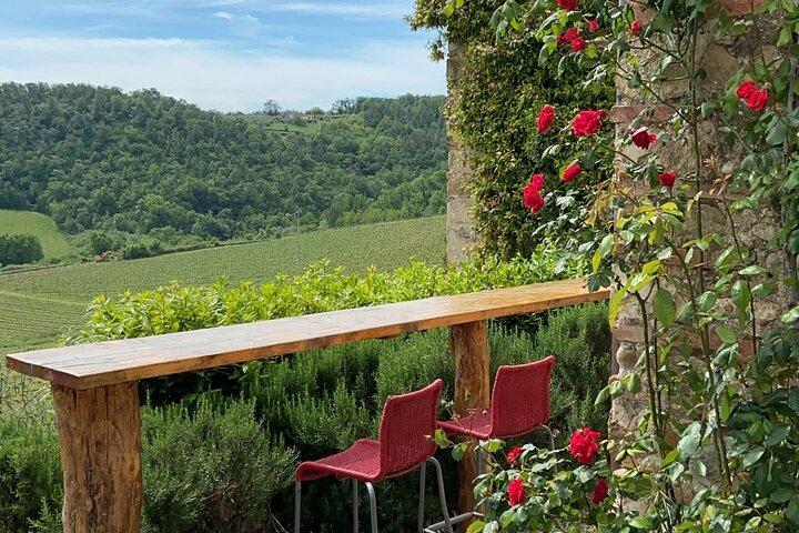 Tuscany Landscapes, Castels & Chianti Wine District