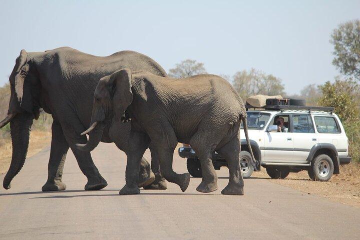 Private Pilanesberg National Park Safari, BIG 5 Full Day