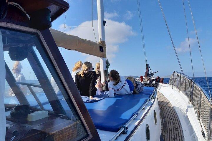 Ancient Delos and Rhenia Island Cruise from Tourlos