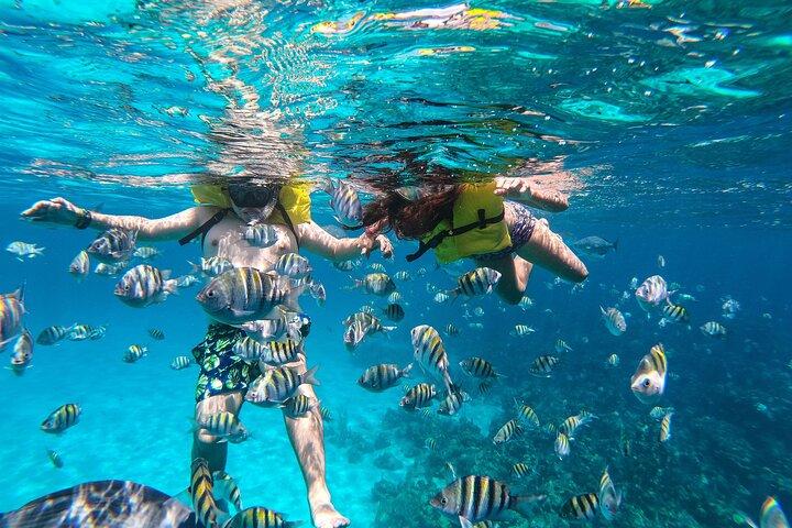 Boat and Snorkeling in West End (Blue Channel, The Aquarium, Turtle Crossing)