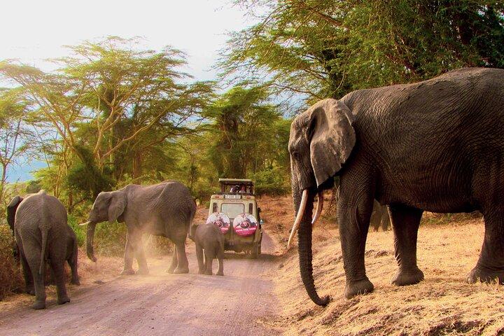 7 Days Best of Kenya Wildlife Safari