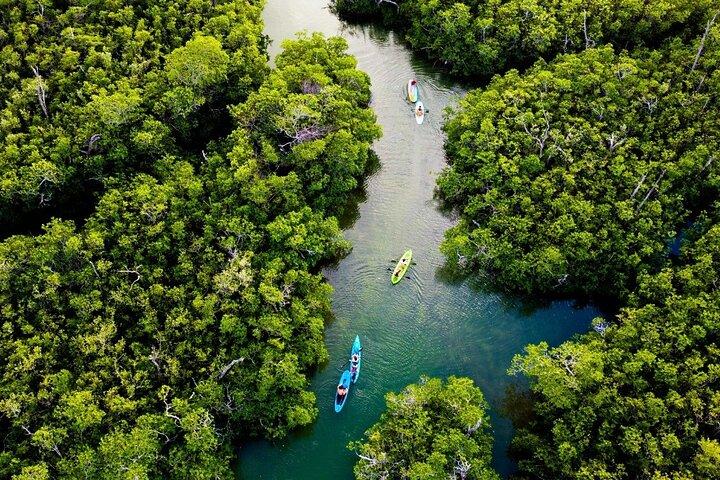 Kayaking Tour in Cancun