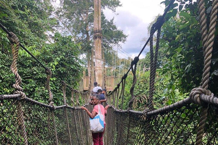 Ghana Private Historic Tour through Castles and Nature