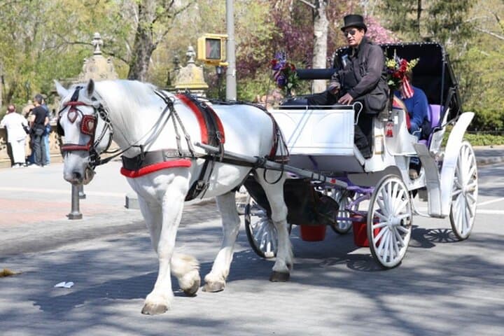 Official Private NYC Central Park Horse Carriage Ride Since 1970™