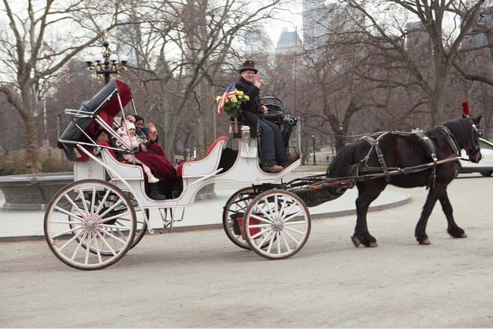 Official Private NYC Central Park Horse Carriage Ride Since 1970™