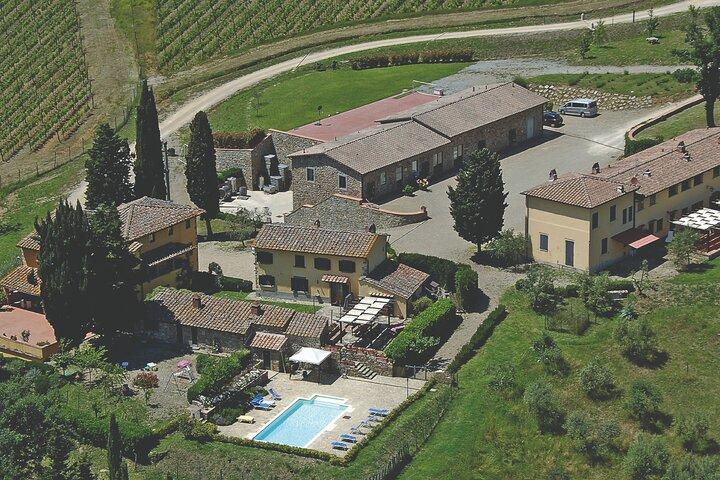 Triumph of Flavors, Winery Tour, Organic Wines in Panzano in Chianti