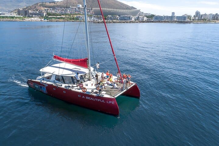 1- Hour Catamaran Cruise Cape Town