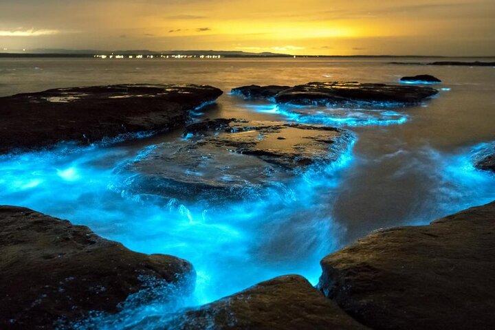 Holbox Bioluminescence: Night Kayak & Stargazing Eco Tour