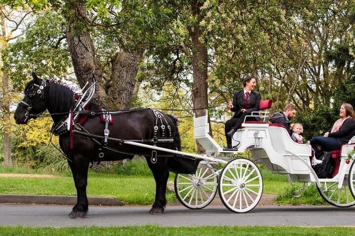 Official Private NYC Central Park Horse Carriage Ride Since 1970™