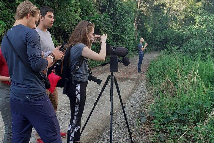 Manu National Park 4-Day Eco Tour from Cusco