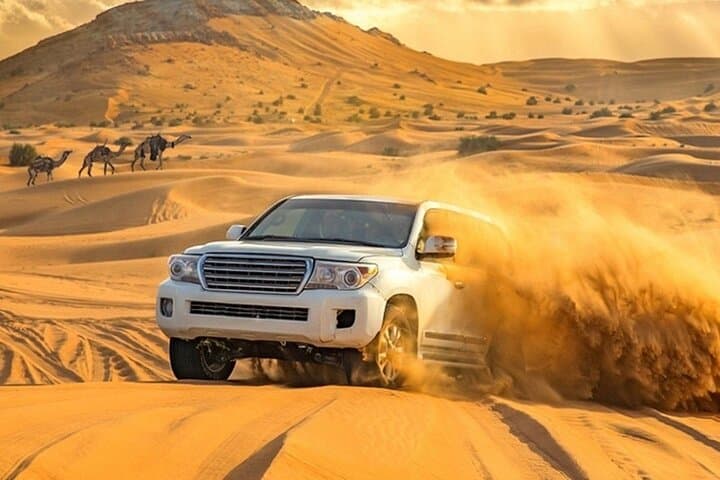 VIP Evening Desert Private Safari Tour in Dubai
