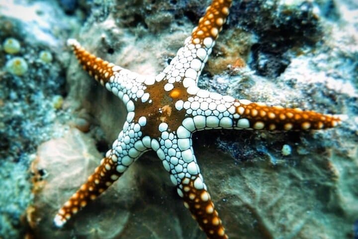 Starfish Adventure; The Rock Restaurant; Kuza Cave, Salaam Cave