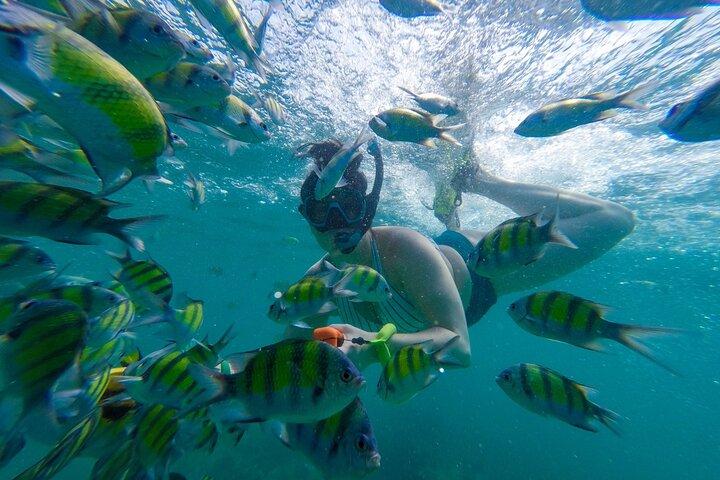 From Khao Lak : Phi Phi Islands Adventure Day Trip with Lunch
