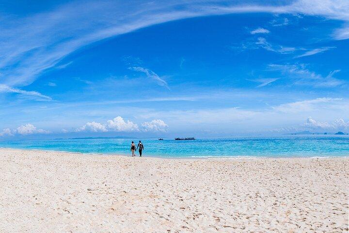 Snorkeling Phi Phi Islands Tour From Phi Phi by Speedboat