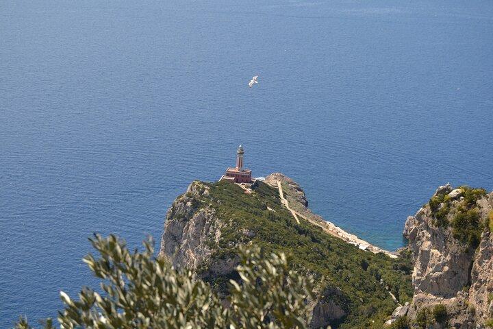 Capri Island and Blue Grotto Small Group Day Tour from Capri Port