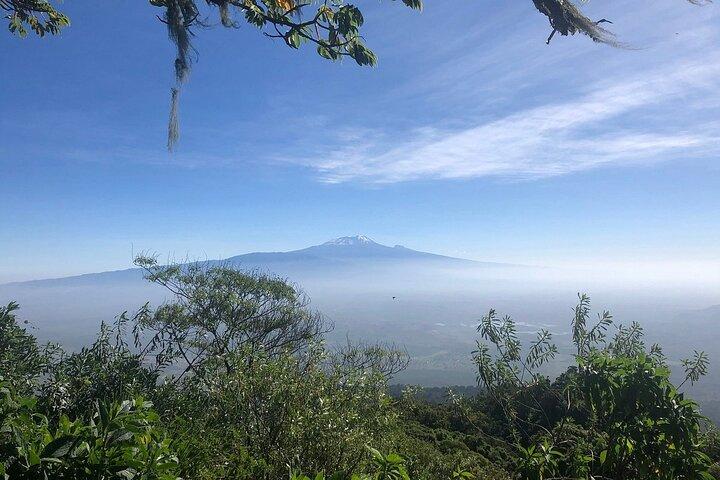 4 Days Mount Meru Trekking in Tanzania
