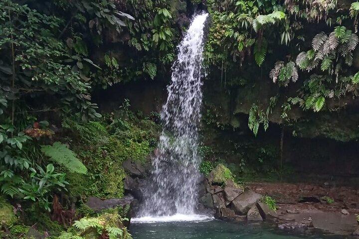 Pepper's Choice : Waterfalls, Sulphur Spa & Black Sand Beach