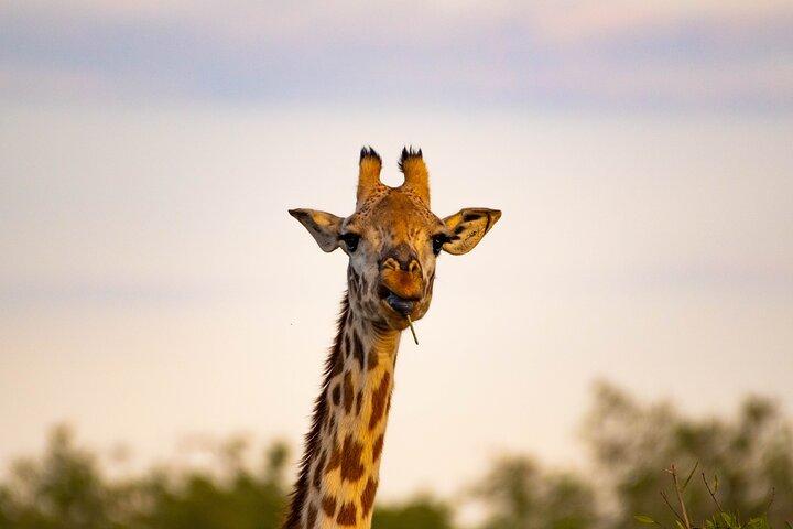 3 Days Maasai Mara Private Experience