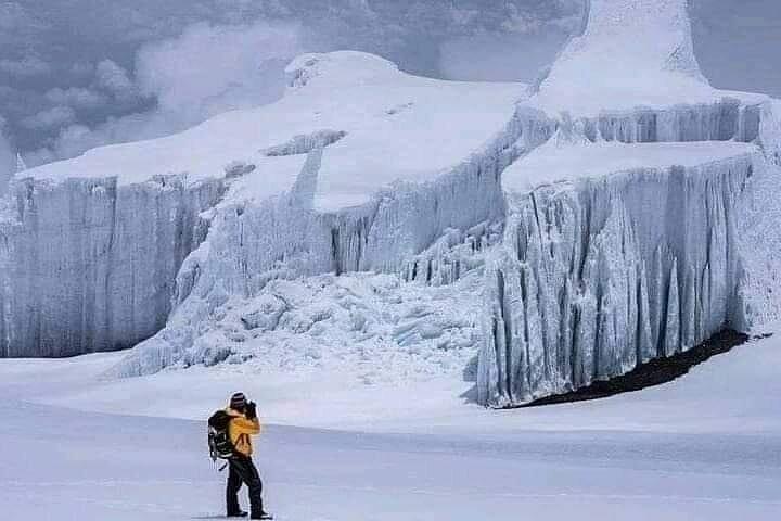 8-Days Private Tour Lemosho Route Kilimanjaro Climb in Tanzania.