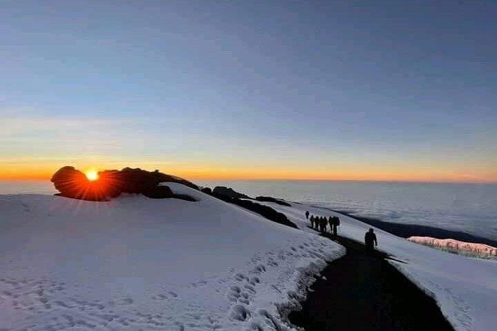 8-Days Private Tour Lemosho Route Kilimanjaro Climb in Tanzania.