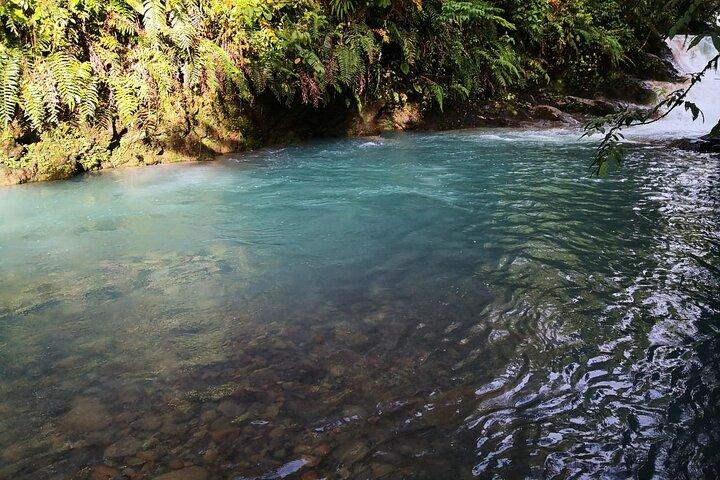 Rio Celeste river waterfall, hike and hot springs tour from San Jose, Costa Rica