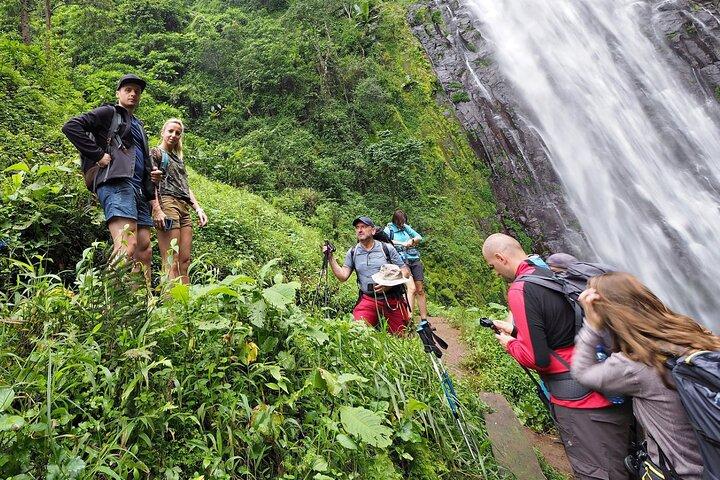 Private Tour to Materuni Waterfalls, coffee tour, Kikuletwa Hot Springs & Maasai