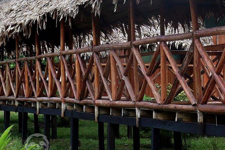 3-Day Jungle and Amazon River Tour from Iquitos