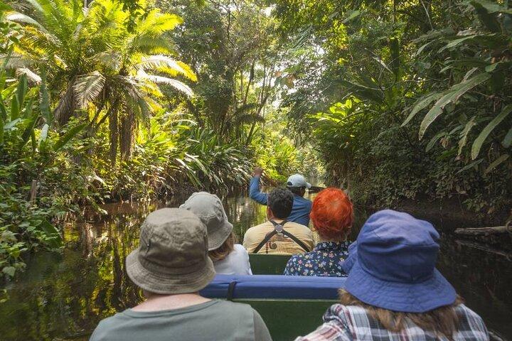 3-Day Jungle and Amazon River Tour from Iquitos