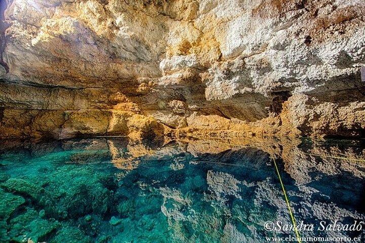 Tour Tulum Coba Cenote and Playa del Carmen (4 in 1)