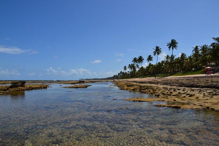 Private Transfer from Porto de Galinhas to Recife Airport