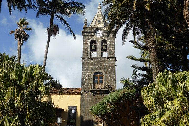 Santa Cruz, Laguna and Laurisilva Forest Tour