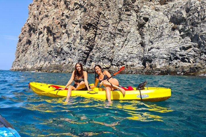 Kayak Safari with Dolphin and Turtle Watching from Los Cristianos