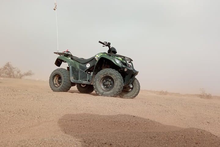 Quad tour in the palm grove desert