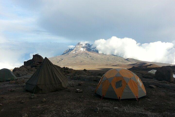 7-Day Mt Kilimanjaro Trekking via Machame Route