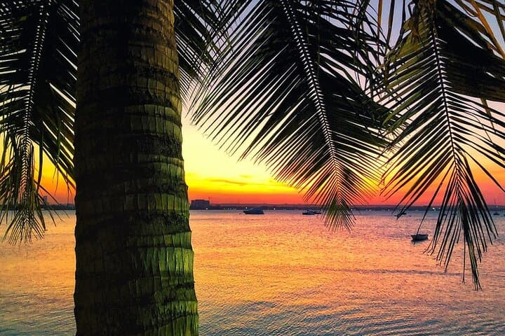 Zanzibar Sunset Dhow Cruise with Transfers.