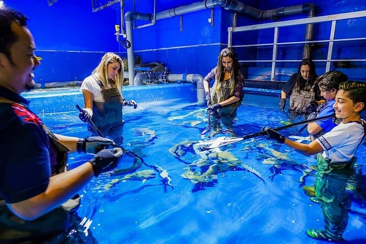 Dubai Aquarium and Underwater Zoo Explorer Tickets