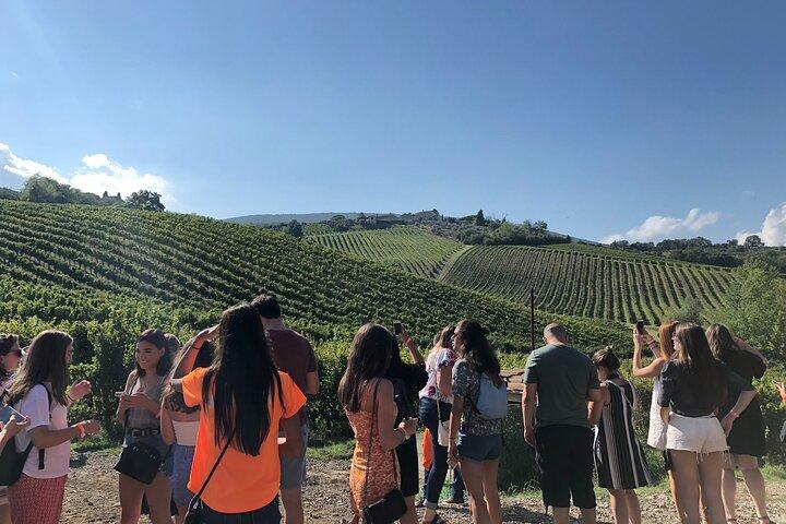 Tuscany Wine Tastings with Panoramic View - Florence to Chianti